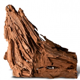 Philippines Classic Driftwood - S size